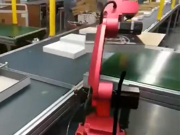 850B robot handling cartons